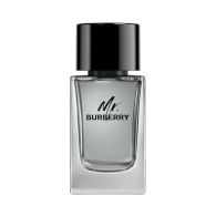Burberry Mr. Burberry EDT 100ml